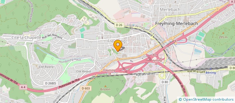 localisation de l'entreprise PREMIERE COMPAGNIE DE TIR A L'ARC DE FAREBERSVILLER  FAREBERSVILLER