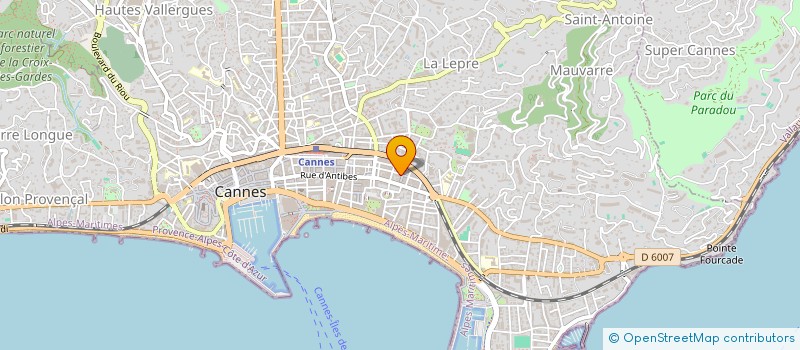 localisation de l'entreprise PRESSING DES PALMIERS à CANNES