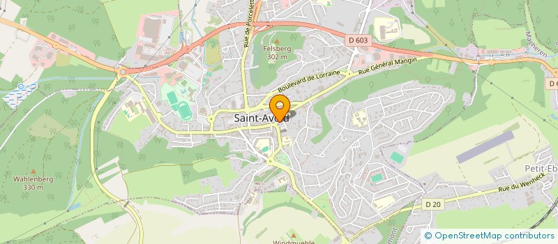 localisation de l'entreprise PRESSING MARIE THERESE  SAINT-AVOLD