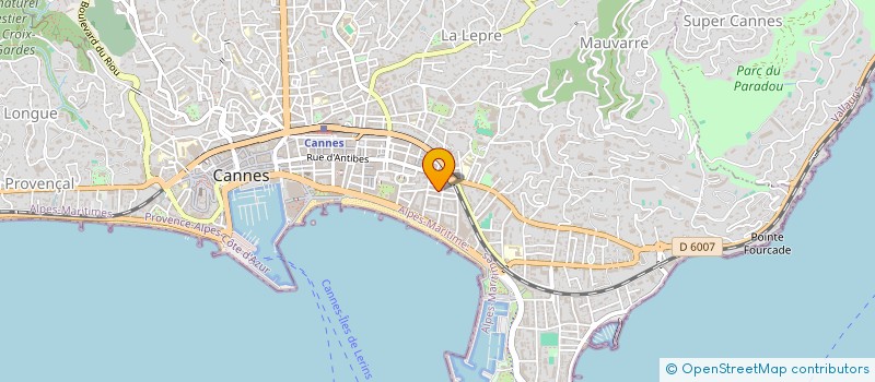 localisation de l'entreprise PRIVATE SECURITY GUARDS à CANNES