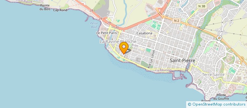 localisation de l'entreprise PRO ELEC SERVICES à SAINT-PIERRE