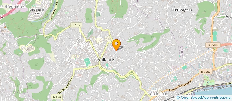 localisation de l'entreprise PRO ELEEC  VALLAURIS