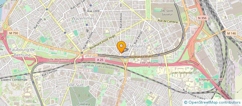 localisation de l'entreprise PRO ELITE SECURITE à LILLE
