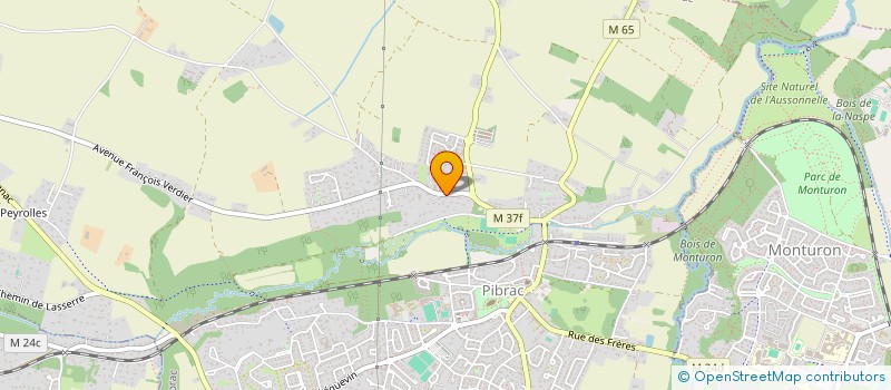 localisation de l'entreprise PRO-FUSION CONSEILS  PIBRAC