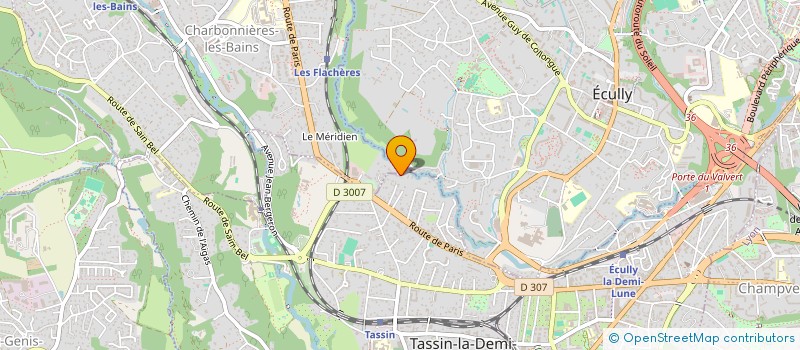 localisation de l'entreprise PRO MARQUAGE  TASSIN-LA-DEMI-LUNE