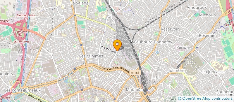 localisation de l'entreprise PRO MULTISERVICE 31  TOULOUSE