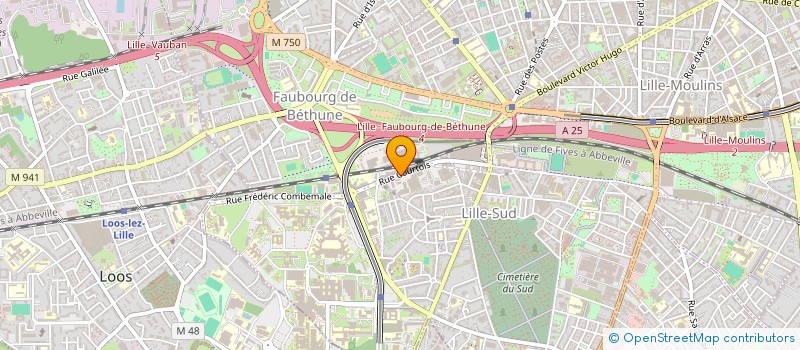 localisation de l'entreprise PRO PEINTURES à LILLE