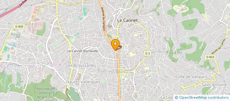 localisation de l'entreprise PRO VISION FRANCE à LE CANNET
