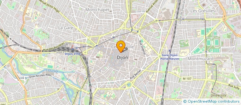 localisation de l'entreprise PRODUPLEX à DIJON