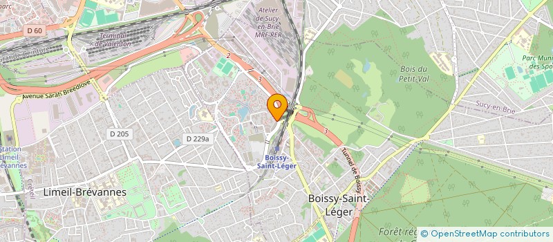 localisation de l'entreprise PROFESSIONNELS TECHNIQUES DE LA TOLE à BOISSY-SAINT-LEGER