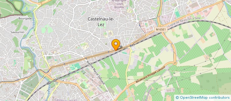 localisation de l'entreprise PROJECT  CASTELNAU-LE-LEZ