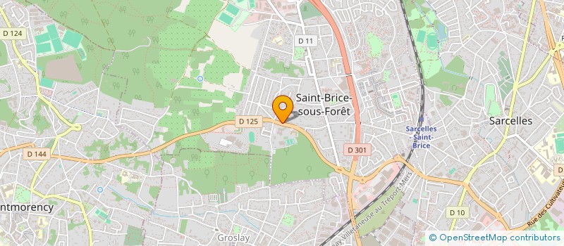 localisation de l'entreprise PRONET SOLUTIONS  SAINT-BRICE-SOUS-FORET
