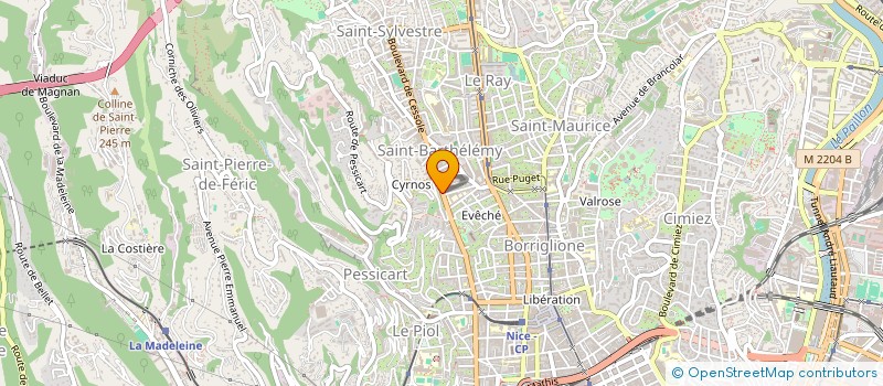 localisation de l'entreprise PRONTO PIZZA à NICE