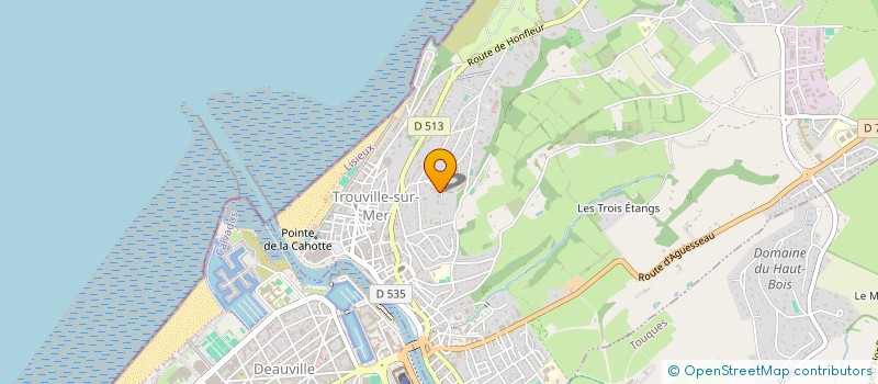 localisation de l'entreprise PROP'AUTO à TROUVILLE-SUR-MER