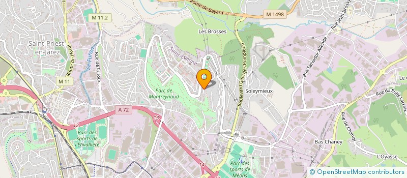 localisation de l'entreprise PROSCENES  SAINT-ETIENNE