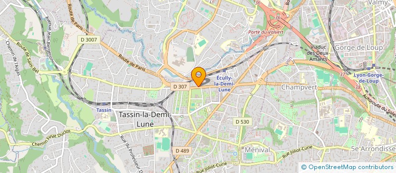 localisation de l'entreprise PSB AUTOMOBILES  TASSIN-LA-DEMI-LUNE