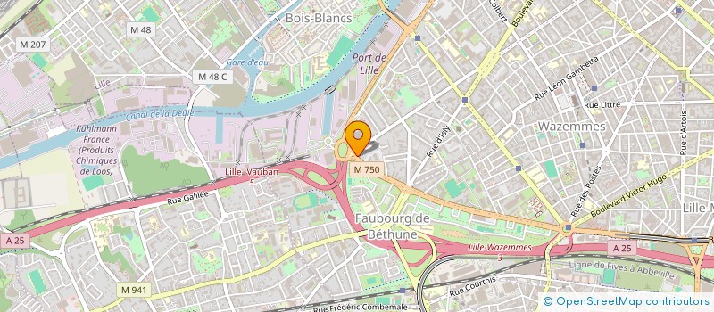 localisation de l'entreprise PSY KE PHO à LILLE