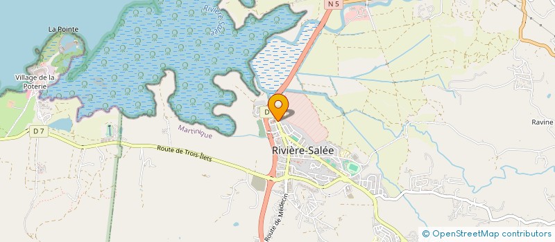 localisation de l'entreprise PUBLICADE à RIVIERE-SALEE