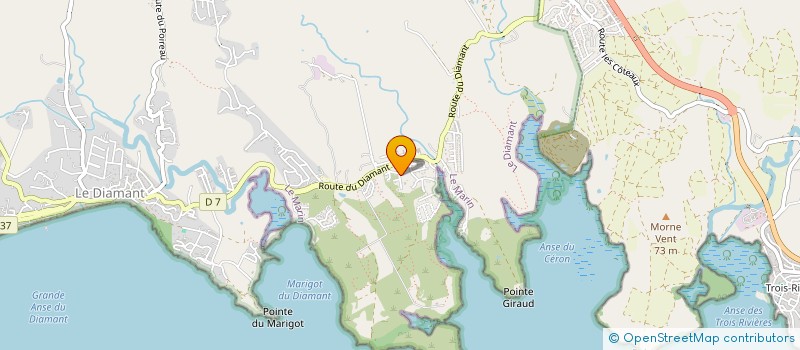 localisation de l'entreprise PULS'ELEC  LE DIAMANT