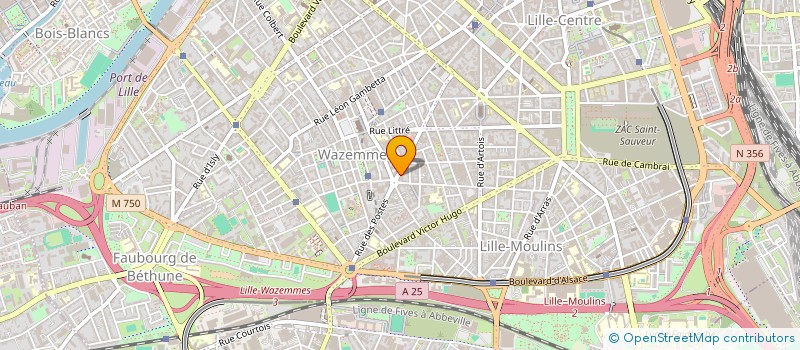 localisation de l'entreprise PUNAISE PRODUCTION à LILLE