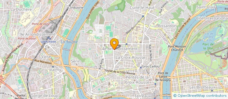 localisation de l'entreprise PUY FORTUNE  LYON