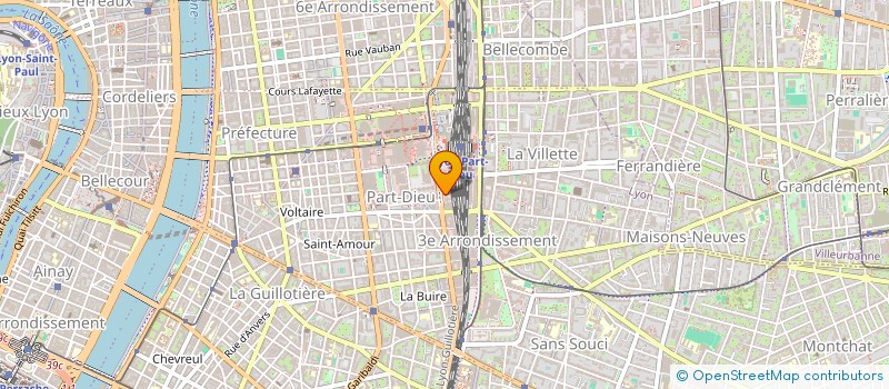 localisation de l'entreprise PUZZLE  LYON