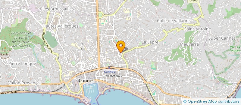 localisation de l'entreprise PVS NETTOYAGE  CANNES