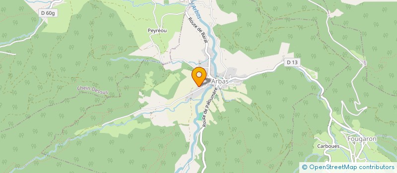 localisation de l'entreprise PYRENEES MULTI SERVICES à ARBAS