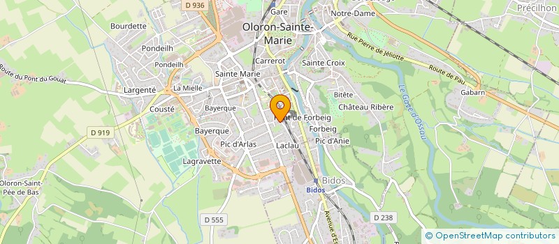 localisation de l'entreprise PYRENEES PASSION  OLORON-SAINTE-MARIE