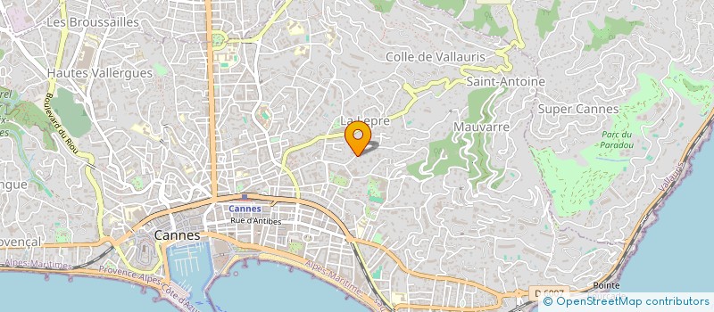 localisation de l'entreprise QUADRATUM INTERNATIONAL  CANNES