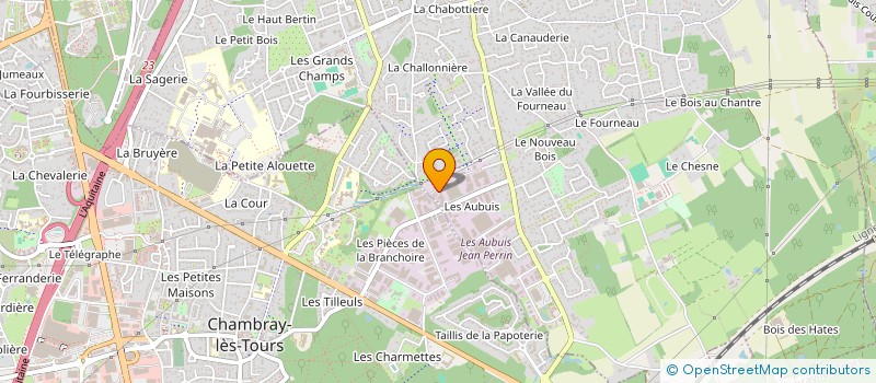 localisation de l'entreprise QUADRI SERVICES EXPRESS à SAINT-AVERTIN