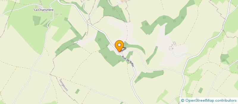 localisation de l'entreprise QUE LE SPECTACLE CONTINUE  SONGEONS