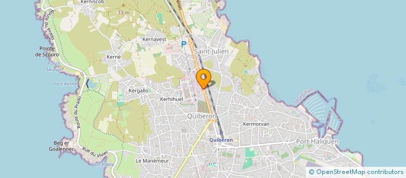 localisation de l'entreprise QUIB-VET SPFPL DE VETERINAIRES  QUIBERON