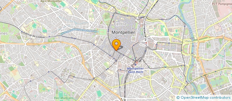 localisation de l'entreprise QUINSAC LMNP PAUME  MONTPELLIER