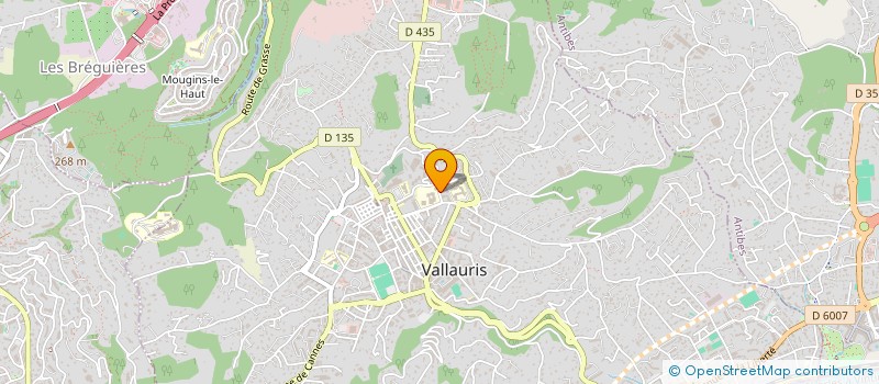 localisation de l'entreprise R.B.S  VALLAURIS