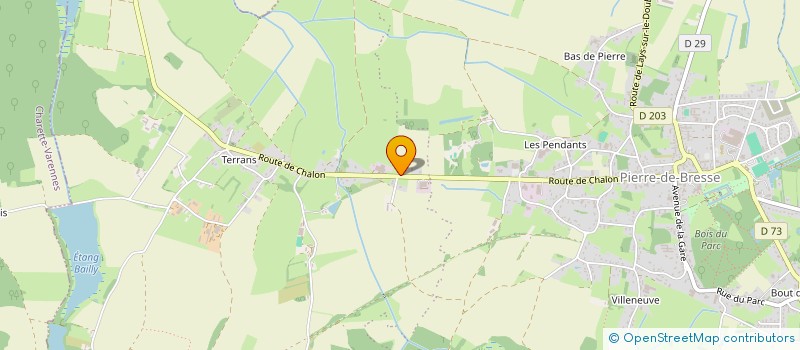 localisation de l'entreprise R.E.G. HOLDING  PIERRE-DE-BRESSE