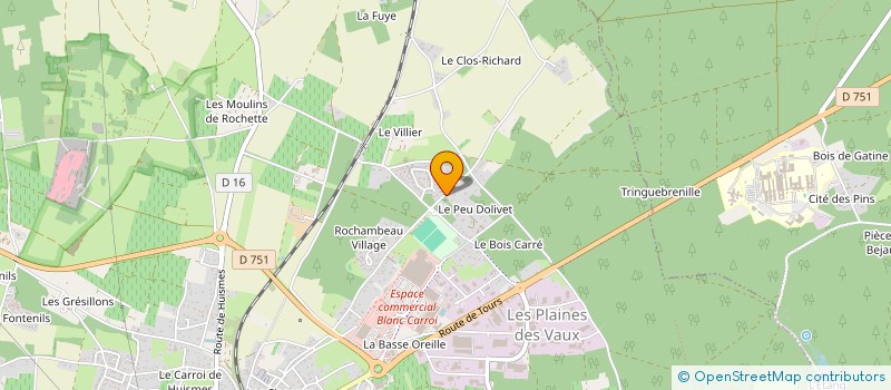 localisation de l'entreprise R.G IMMOBILIER  CHINON