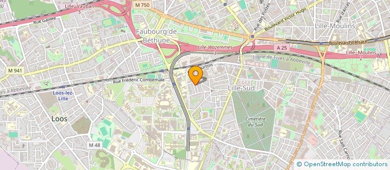 localisation de l'entreprise RABELAIS VI à LILLE