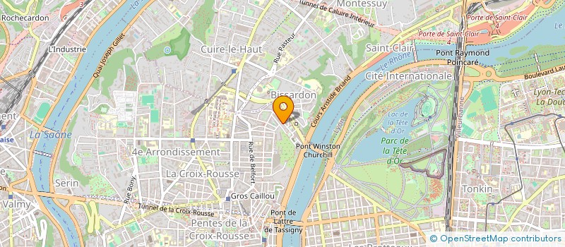 localisation de l'entreprise RABUT IMMO  LYON