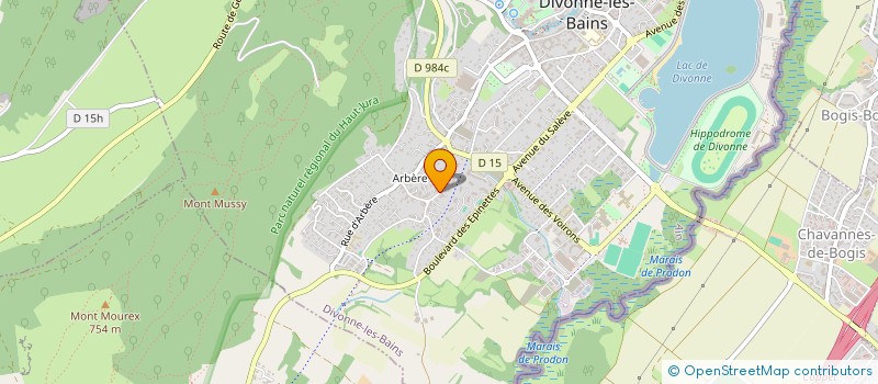 localisation de l'entreprise RACINES D'ARBERE à DIVONNE-LES-BAINS