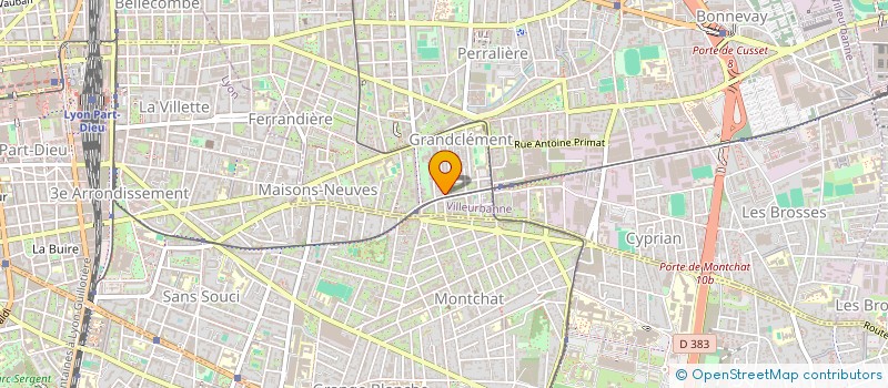 localisation de l'entreprise RACINES DU FUTUR D'AFRIQUE VIA GUADELOUPE (RFAG)  VILLEURBANNE