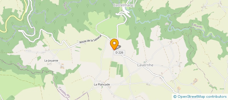 localisation de l'entreprise RACINES EN L'AIR  CASTELMARY