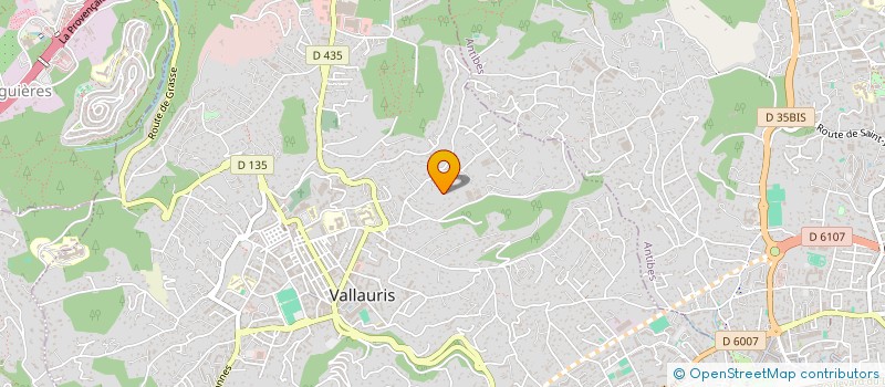 localisation de l'entreprise RACINES ET AVENIR DE VALLAURIS GOLFE JUAN  VALLAURIS