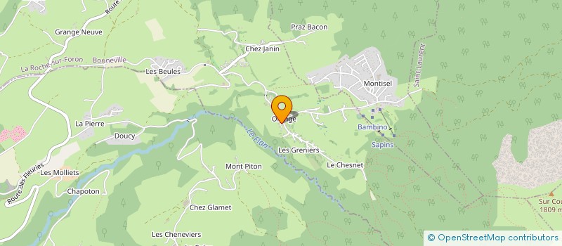 localisation de l'entreprise RACING SPIRIT OF LEMAN à LA ROCHE-SUR-FORON