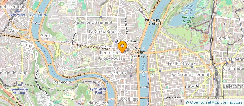 localisation de l'entreprise RACOON TAPES à LYON