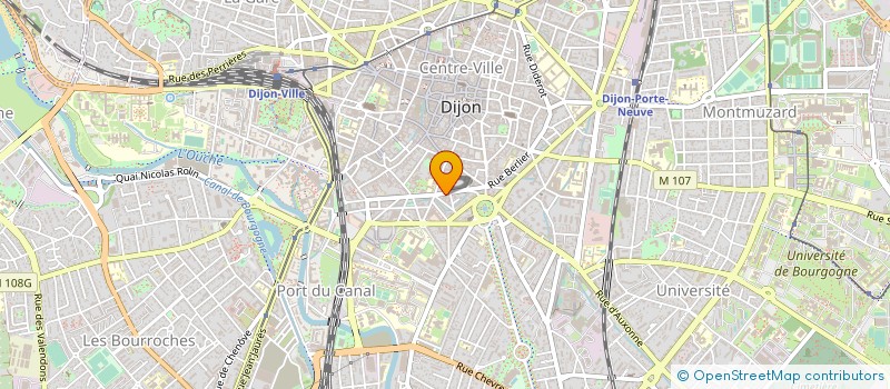 localisation de l'entreprise RADIAL PNEU  DIJON