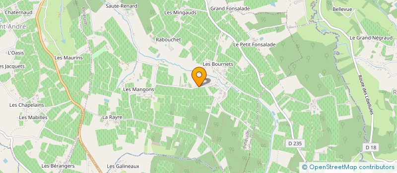 localisation de l'entreprise RADIO GRAND R  PINEUILH