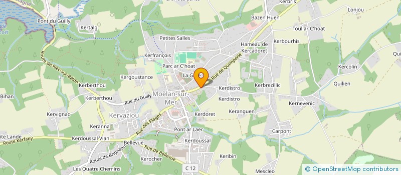 localisation de l'entreprise RADIOCEAN  MOELAN-SUR-MER