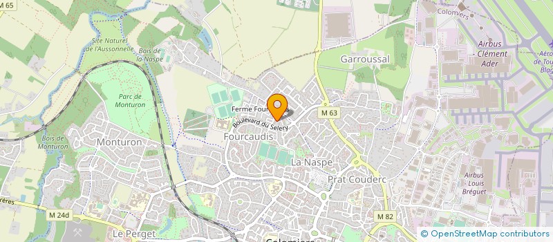 localisation de l'entreprise RAF MUSIK GROUP à COLOMIERS
