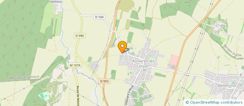 localisation de l'entreprise RAID DES SAMU DIJON  ASNIERES-LES-DIJON